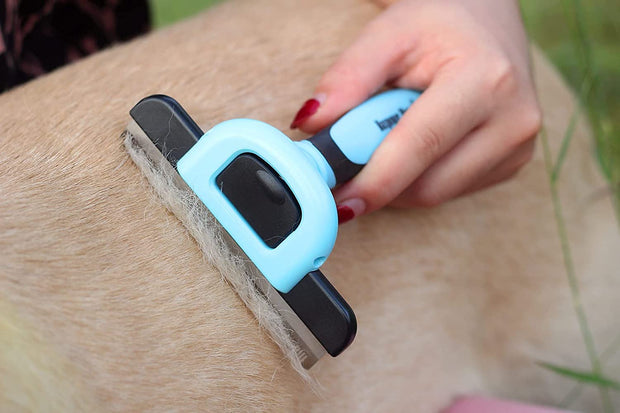 Maxpower Planet Pet Grooming Brush for Dogs and Cats