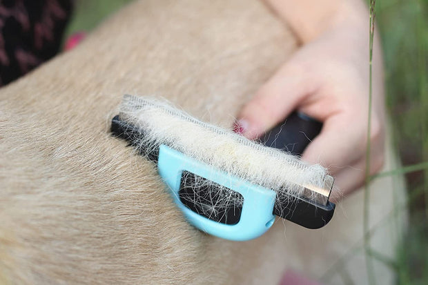 Maxpower Planet Pet Grooming Brush for Dogs and Cats